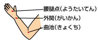 ツボの図